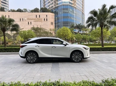 Cầm xe hơi hạng sang (Mercedes, BMW): Rủi ro và cơ hội 2024
