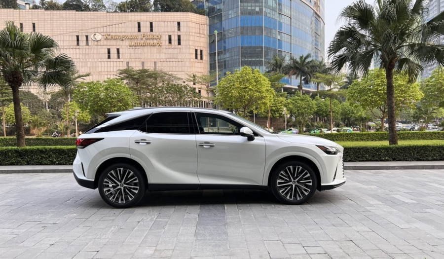 Cầm xe hơi hạng sang (Mercedes, BMW): Rủi ro và cơ hội 2024